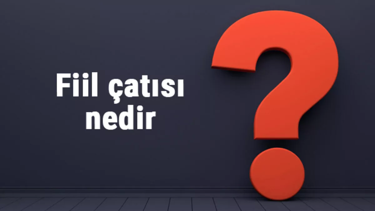 fiil nedir